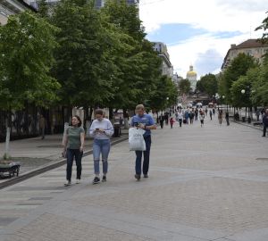 За сутки в Пензенской области в больницу с коронавирусом попали 14 человек