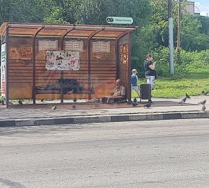 Пензенцев возмутили бомжи и голуби, обосновавшиеся на остановке Чкалова