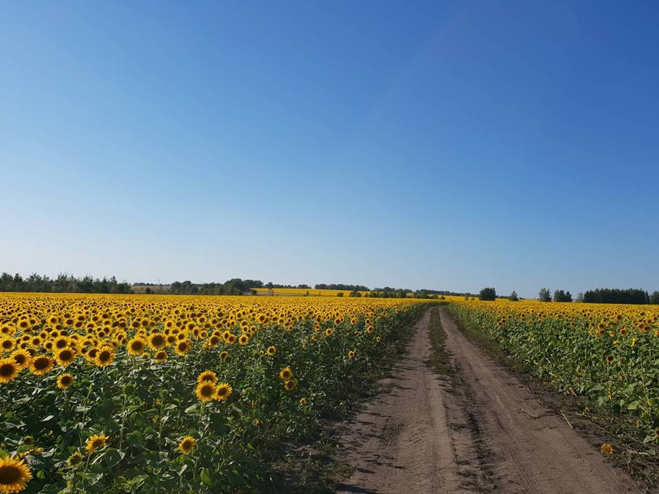 В Пензенской области планируют ввести в оборот 17 000 га земли