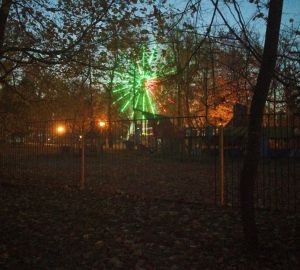 В Думе поддержали мнение пензенцев о запрете на установку аттракционов на Олимпийской аллее