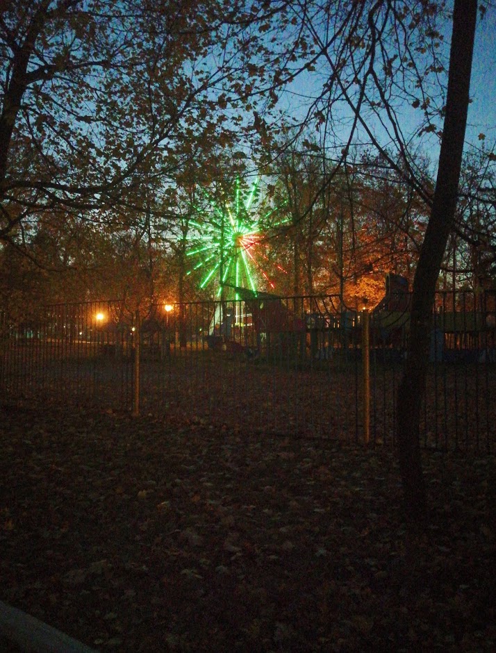 В Думе поддержали мнение пензенцев о запрете на установку аттракционов на Олимпийской аллее