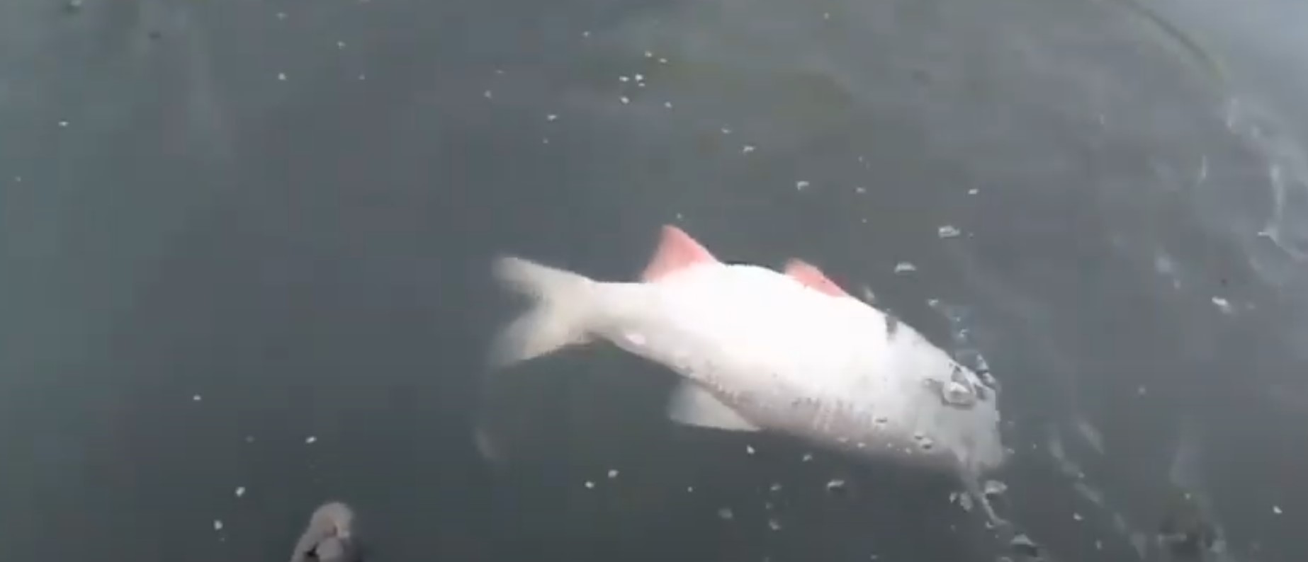 В Пензенской области отремонтировали водопроводные сети в рамках региональной программы