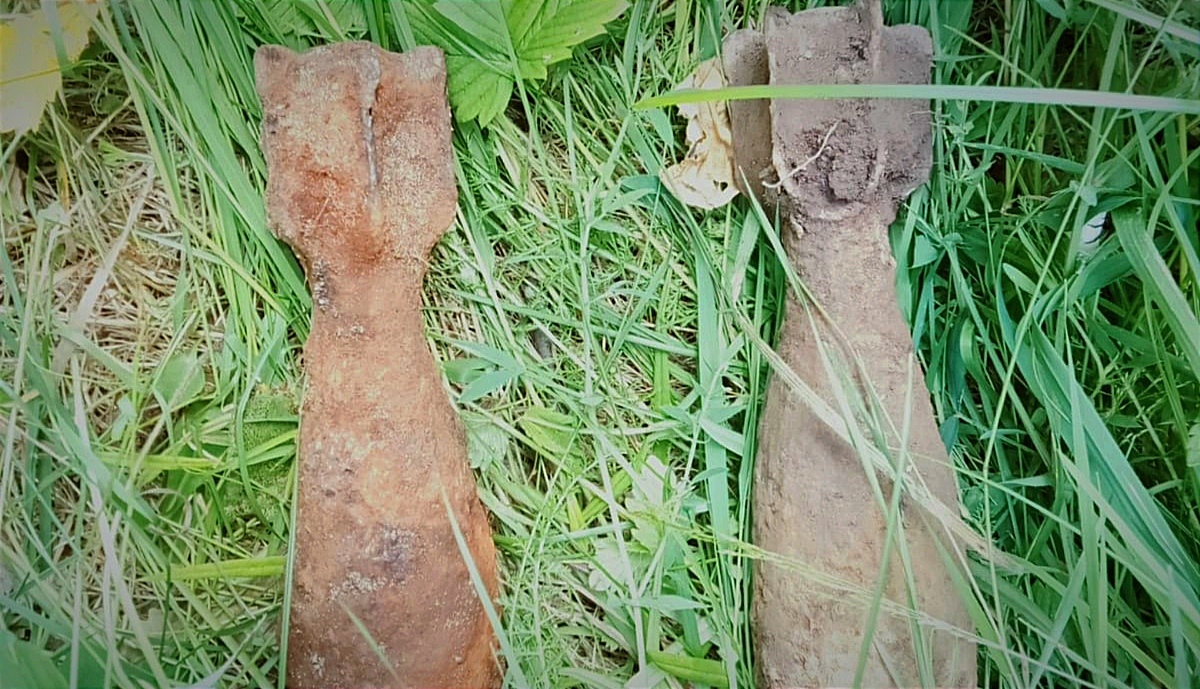 В Кузнецком районе грибники нашли мины времен Великой Отечественной войны