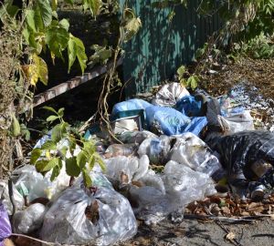 В Сердобске выделили полмиллиона на устранение несанкционированных свалок