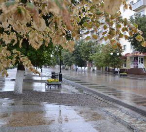 В нескольких районах Пензенской области обнаружили очаги холеры птиц