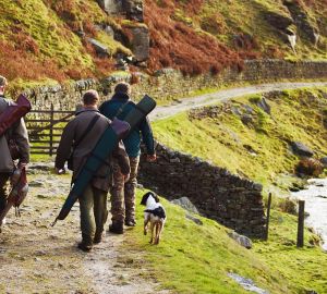 Утверждены годичные лимиты и квоты добычи лосей, косуль и барсуков в Пензенской области