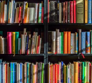 В Заксобре рассмотрят проект о присвоении имени Михаила Пономарева Башмаковской библиотеке