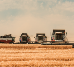 В Сердобском районе приступили к уборке зерновых