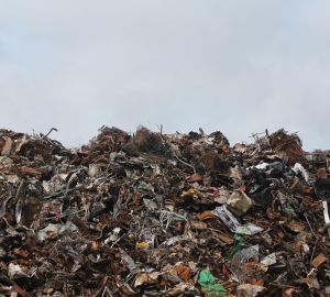 В Пензенской области комплексы по обращению с ТКО помогут восстановить экобаланс в Чемодановке