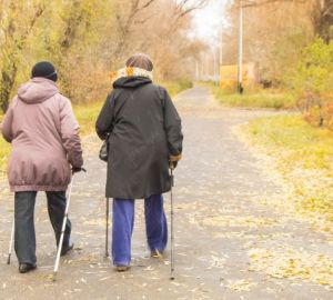 В июле в Пензенской области пройдет 4 фестиваля в рамках проекта «Активное долголетие»