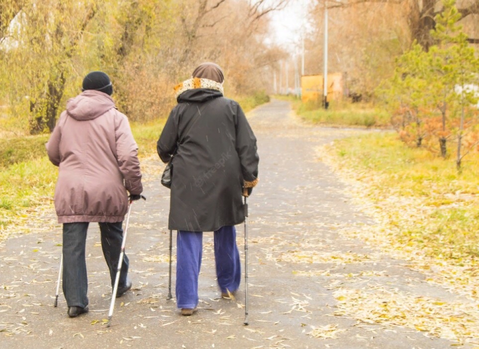 В июле в Пензенской области пройдет 4 фестиваля в рамках проекта «Активное долголетие»