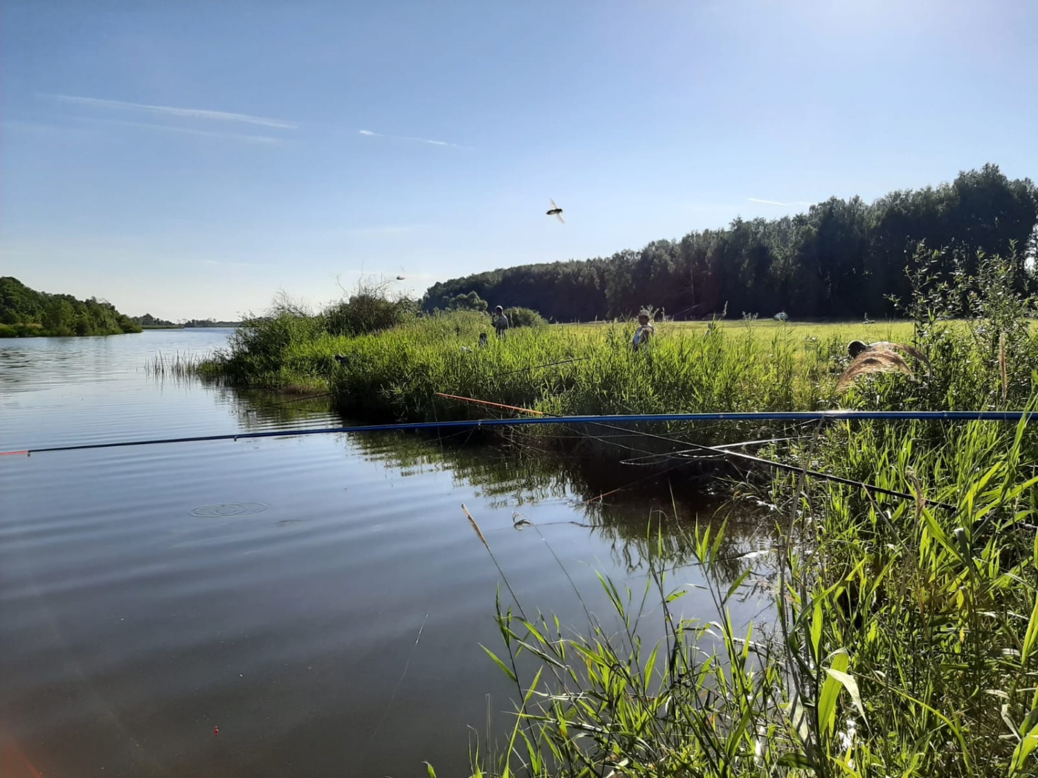 В Сердобском районе отметили День рыбака