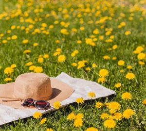 В Пензенской области 17 июля будет жара до +28 градусов