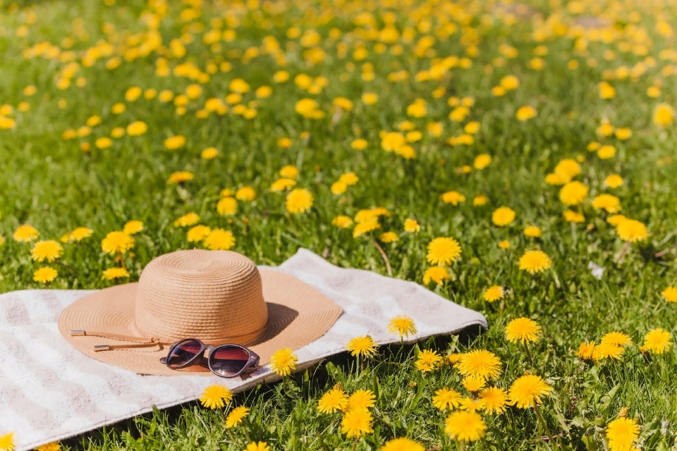 В Пензенской области 17 июля будет жара до +28 градусов