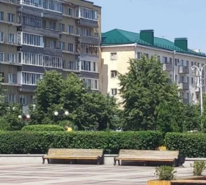 В Пензе на Юбилейной площади установили мобильные баскетбольные стойки