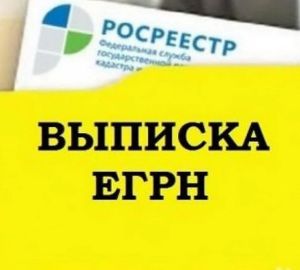 Пензенцам рассказали, сколько будет стоить получение сведений о собственнике из ЕГРН
