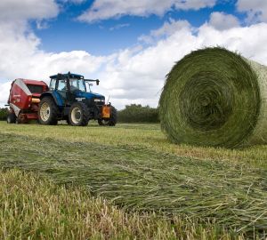 В Сердобском районе полным ходом идет заготовка кормов