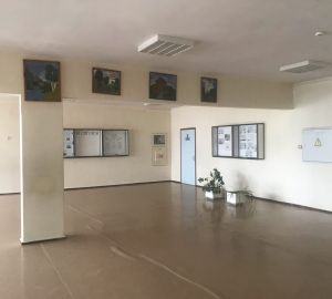 Ремонт школы в Пензенской области может обойтись бюджету в 58 млн рублей