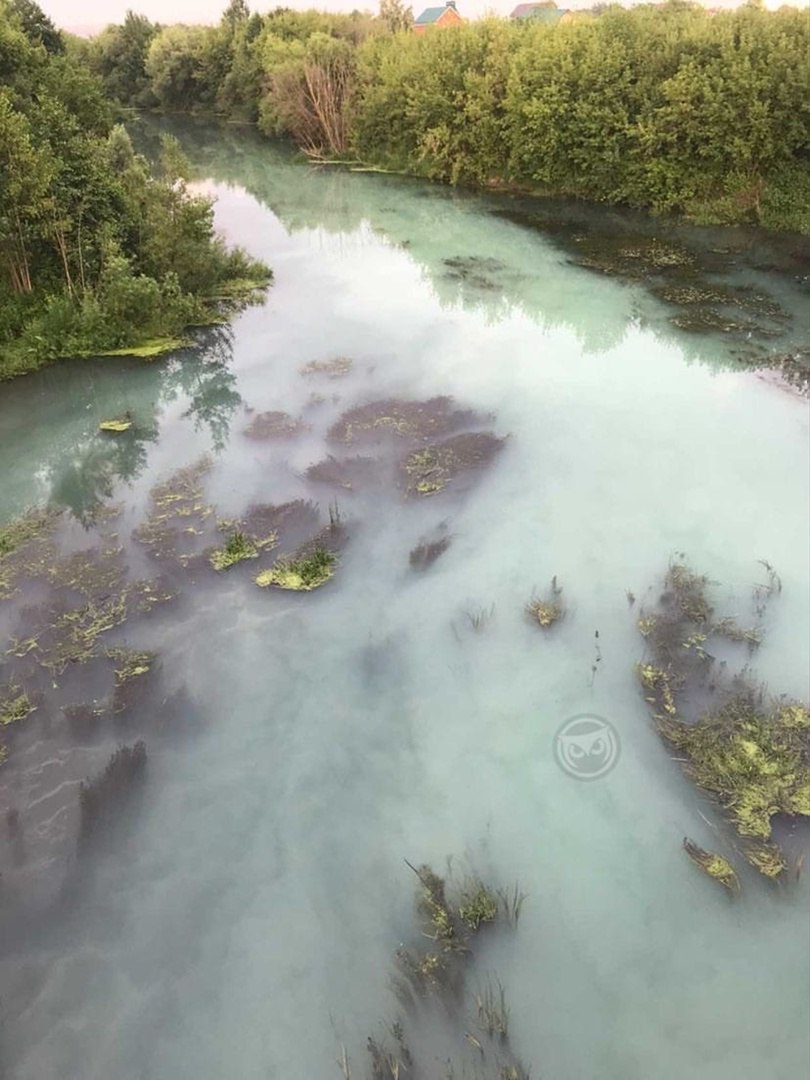 Пензенцы сообщили о сбросе отходов в реку Пенза