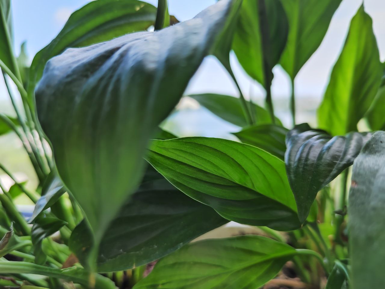 Жители Терновки требуют привести в порядок "дорожку жизни"