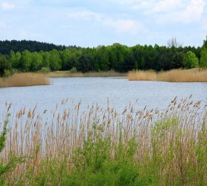 Стало известно, когда будет обновлен мост через реку Сердобу