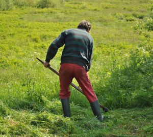 Пензенцев пригласили помочь с расчисткой территории разрушенного храма в Чемодановке