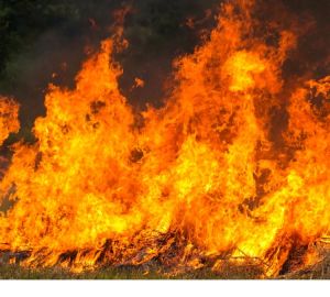 В Пензенском районе ребенок играл с зажигалкой и сжег сарай