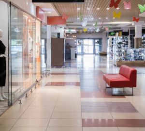 В самых крупных ТЦ может опустеть до 30% площадей