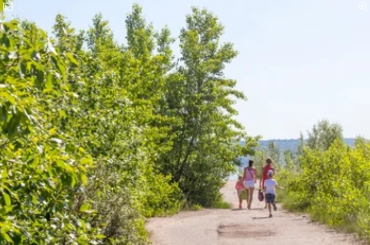 В Сердобском районе на полевой дороге 30-летний мужчина сбил пешехода