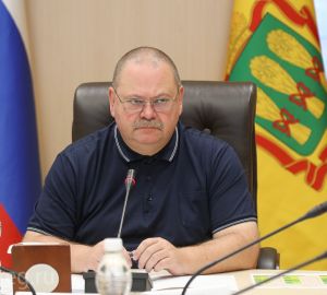 Олег Мельниченко поручил усилить меры профилактики ЧС в Пензенской области
