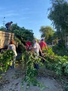 В Сердобске покосили траву и провели обрезку деревьев
