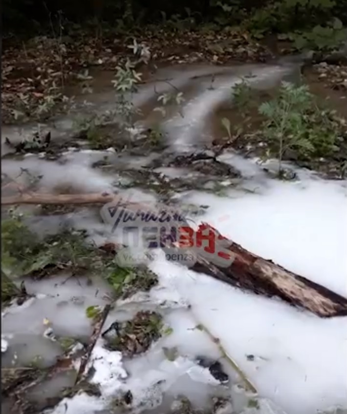 В мэрии Пензы ответили, что за белая жидкость стекает по Олимпийской алее