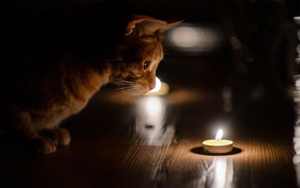 Кузнечанам объяснили, почему на прошлой неделе возникли перебои со светом