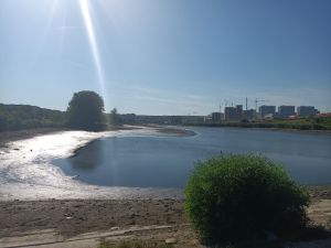 В пруду у шестой больницы спустили воду для расчистки водоема