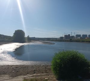 В пруду у шестой больницы спустили воду для расчистки водоема