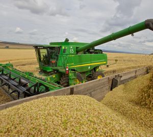 В Кузнецком районе приступили к уборке озимых культур