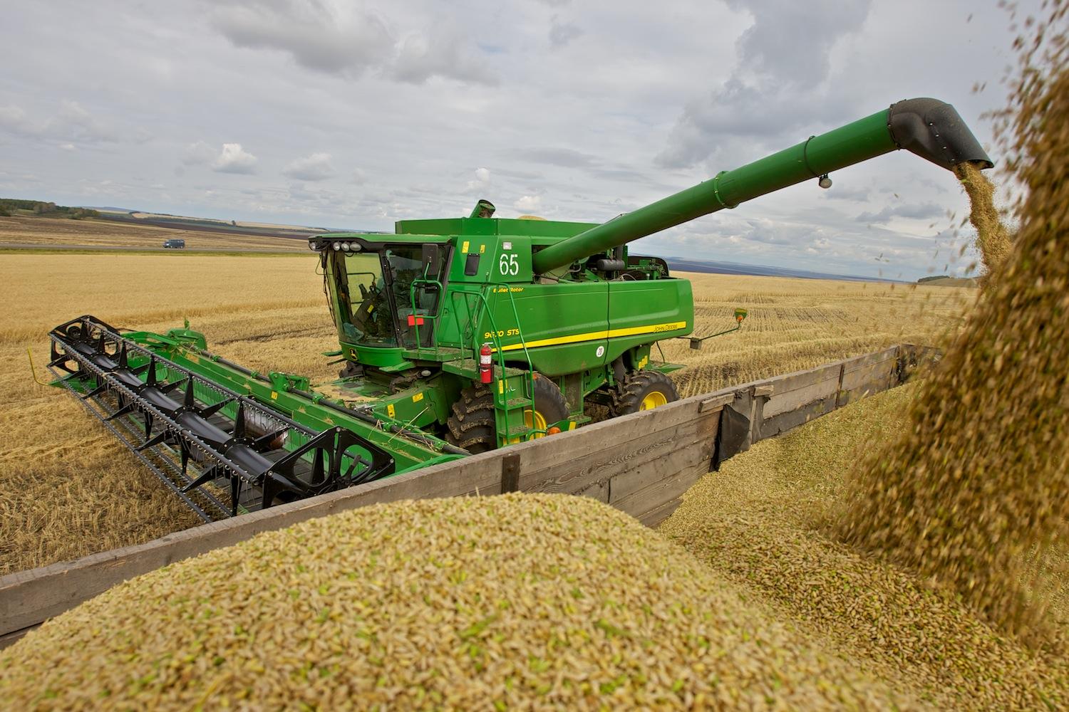 В Кузнецком районе приступили к уборке озимых культур