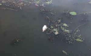 В пензенской мэрии рассказали о планах по очистке Суры