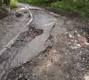 Пензенцы пожаловались на разбитую дорожку, ведущую к Тропе здоровья