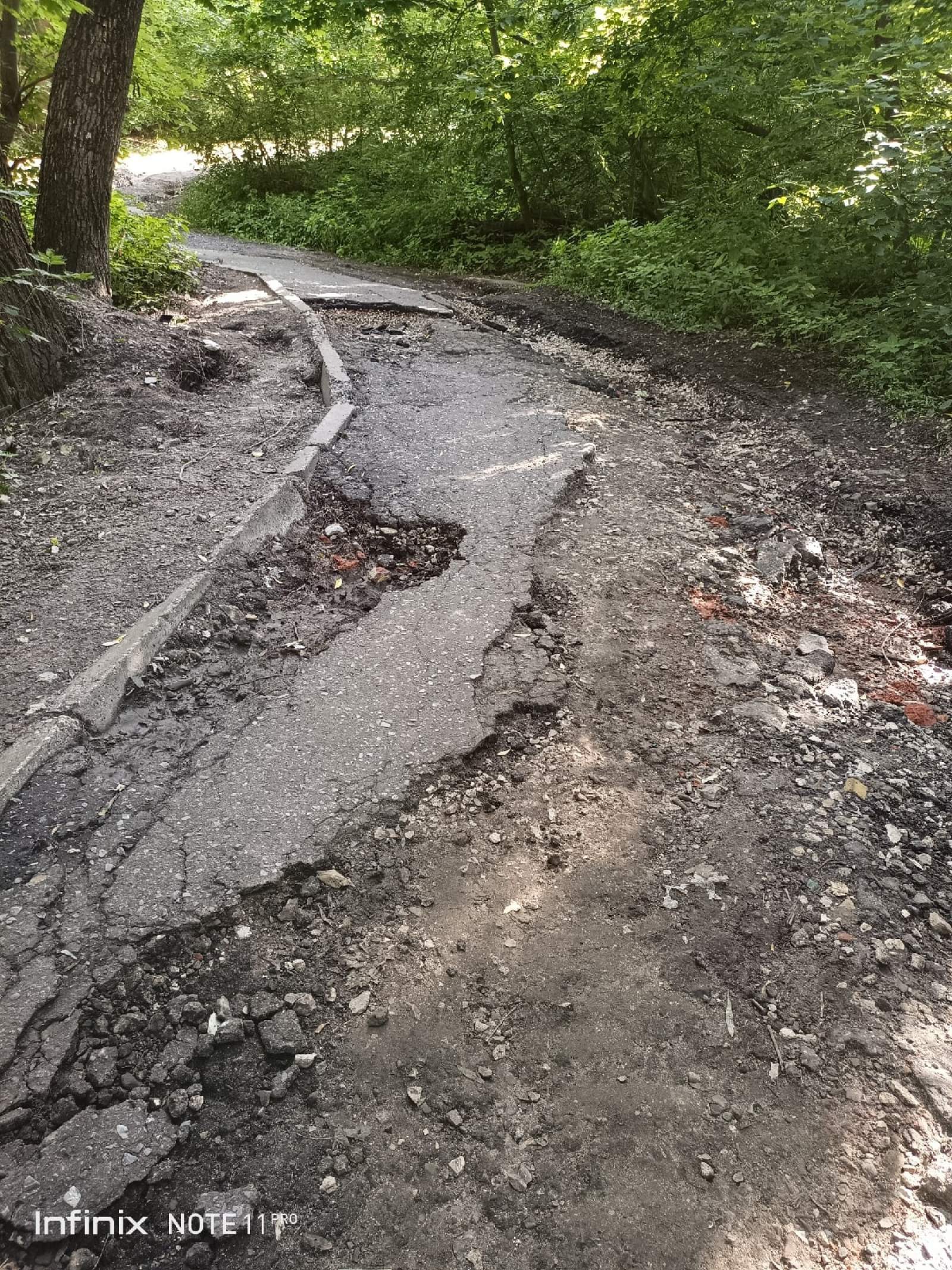 Пензенцы пожаловались на разбитую дорожку, ведущую к Тропе здоровья