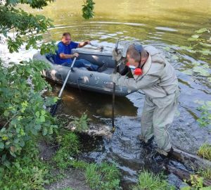 В Пензе из водоема в Ахунах достали тушу мертвого животного