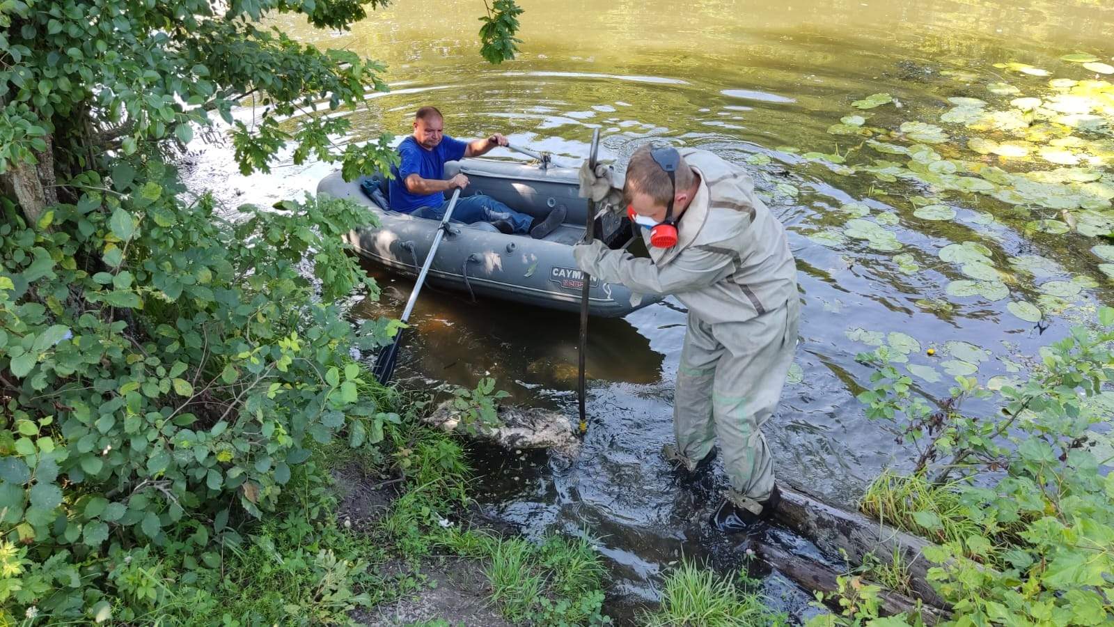 В Пензе из водоема в Ахунах достали тушу мертвого животного