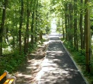 Олег Мельниченко рассказал о завершении благоустройства Лунинского парка