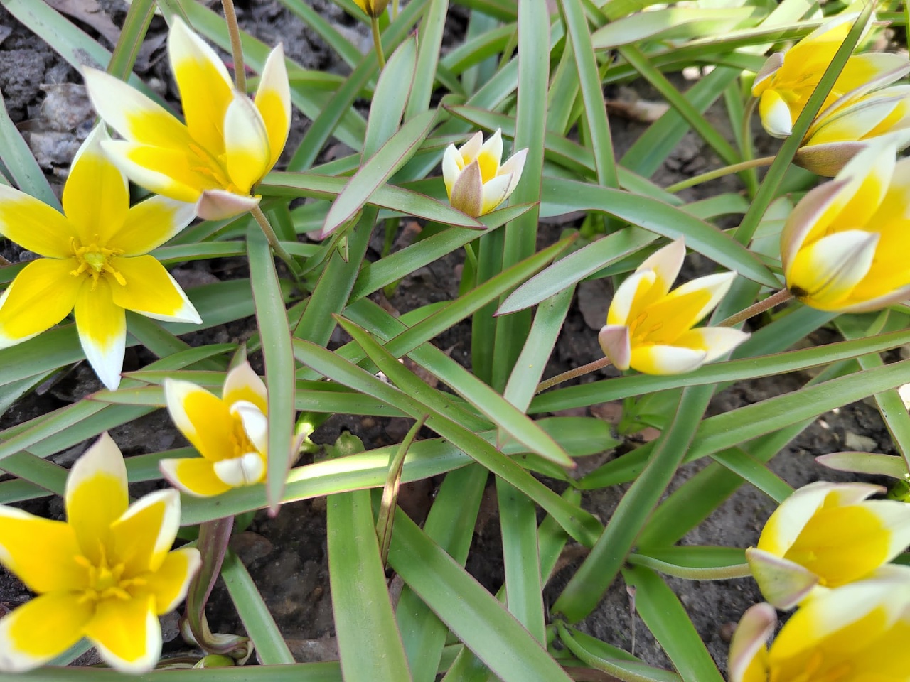 4 августа пензенцев ждет жаркая летняя погода