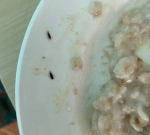 В Пензенском районе воспитанников детсада накормили кашей с жуками