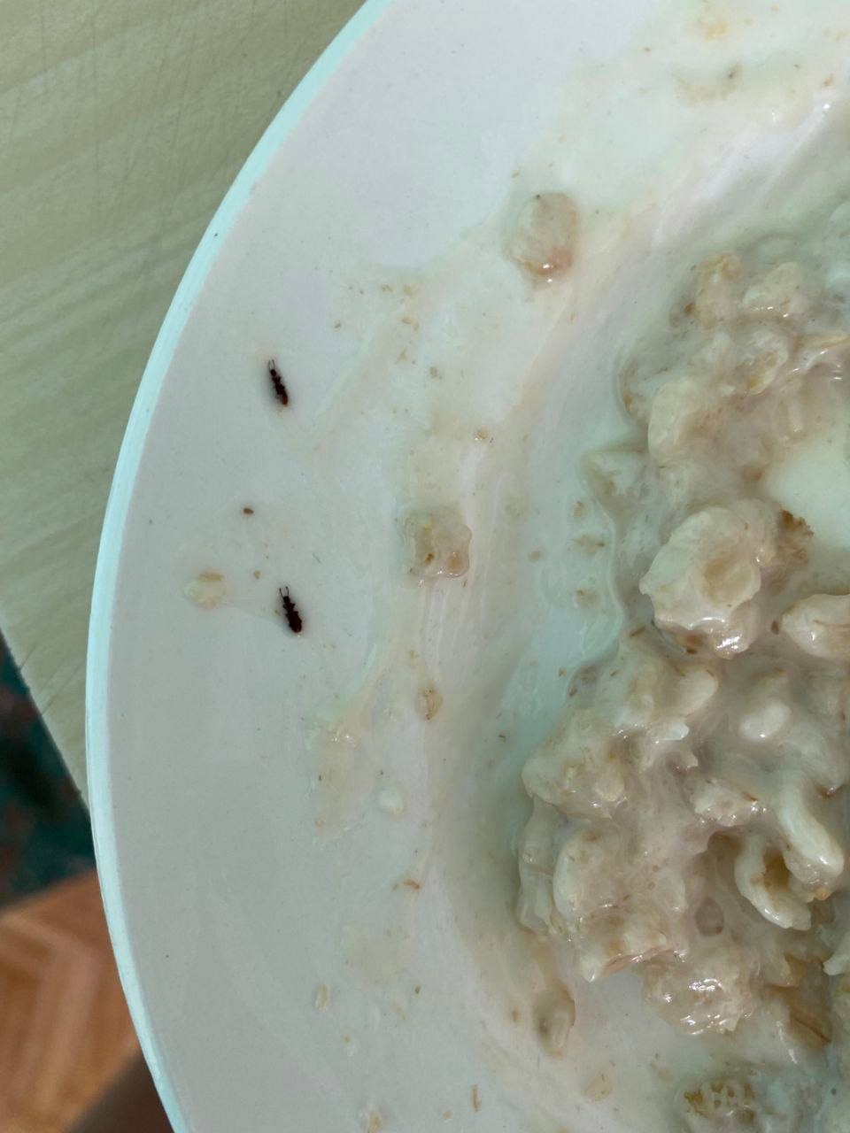 В Пензенском районе воспитанников детсада накормили кашей с жуками