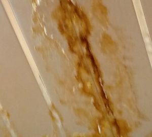 Пензячке объяснили, почему управляйка не спешит чинить крышу ее дома