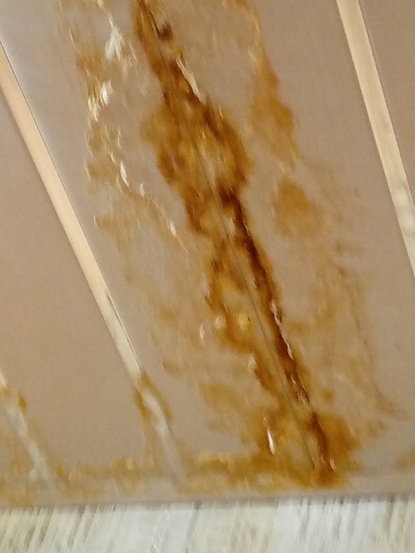 Пензячке объяснили, почему управляйка не спешит чинить крышу ее дома