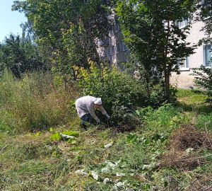 В Никольске 81-летней бабушке пришлось косить серпом траву у дома