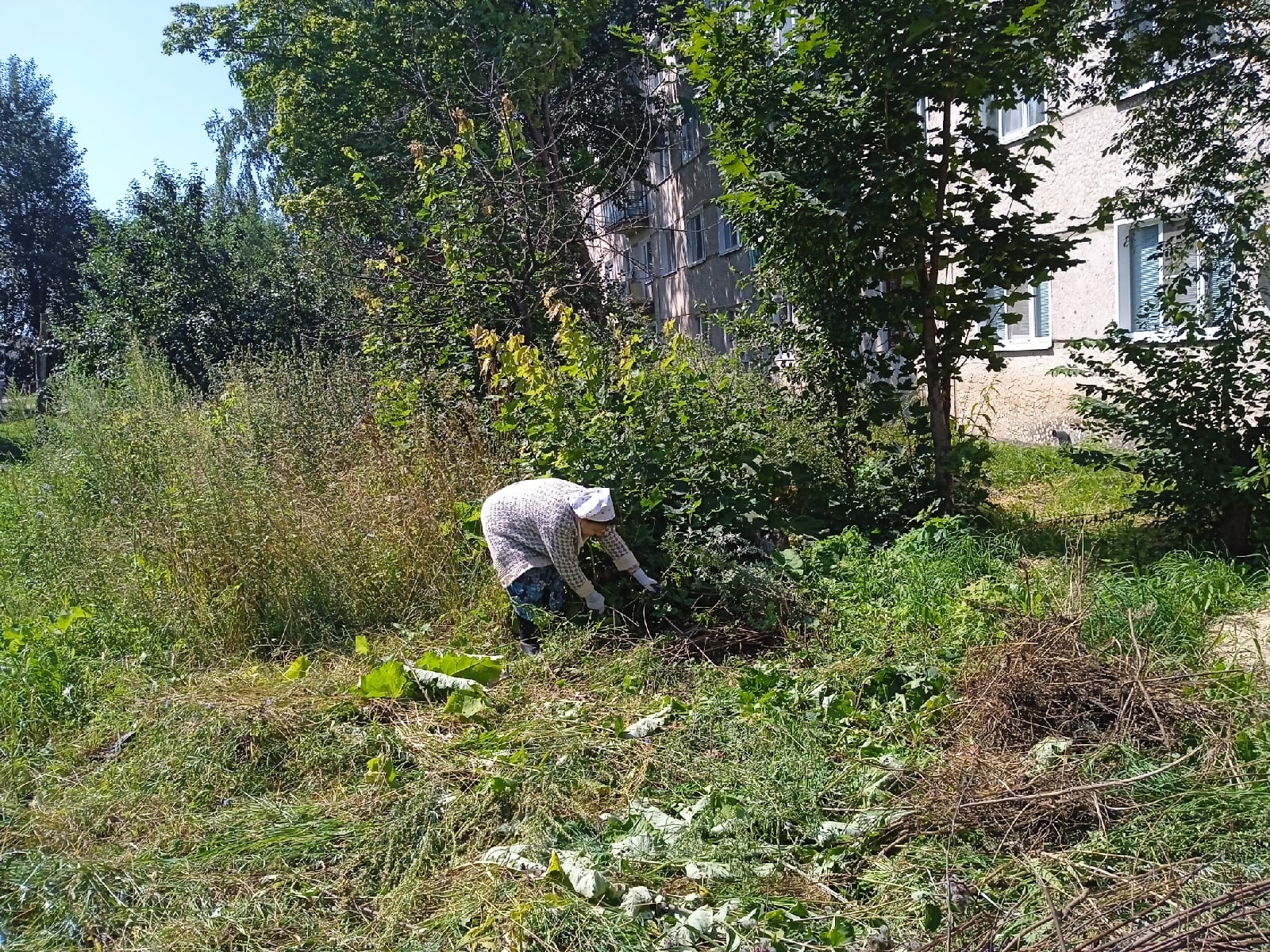 В Никольске 81-летней бабушке пришлось косить серпом траву у дома